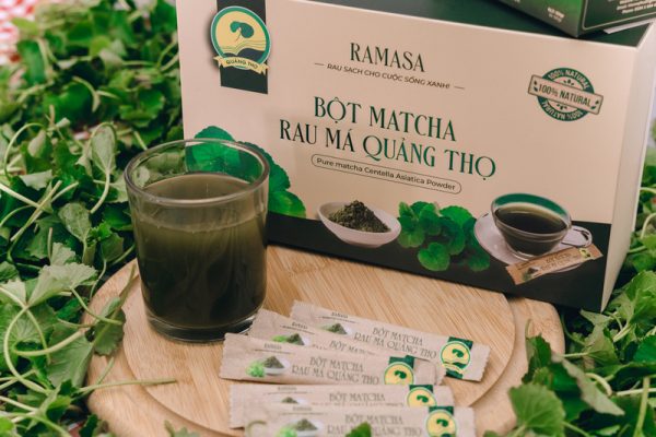 Bột matcha rau má Quảng Thọ