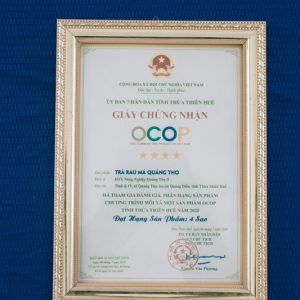 Giấy chứng nhận Trà rau má đạt chuẩn