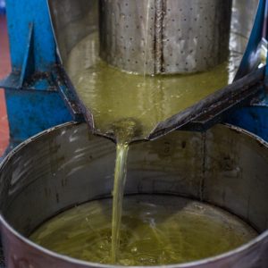 Dầu lạc hữu cơ Mỹ Á