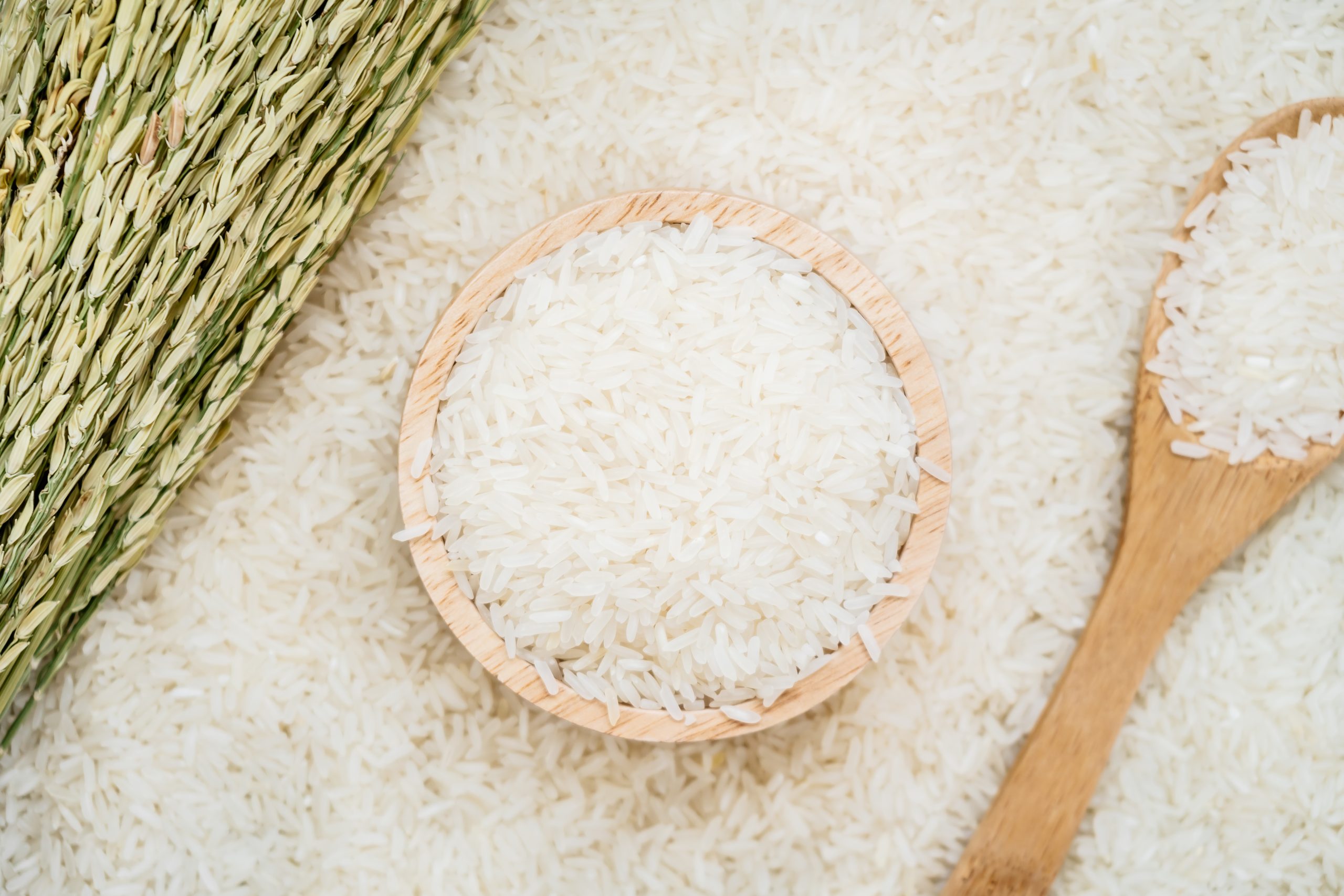 Gạo hữu cơ Phú Mỹ