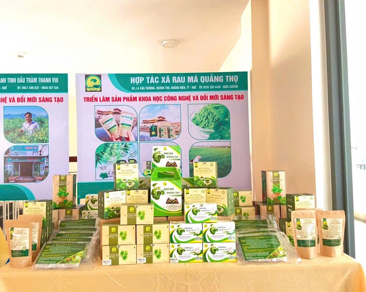 Các sản phẩm chế biến từ rau má hữu cơ